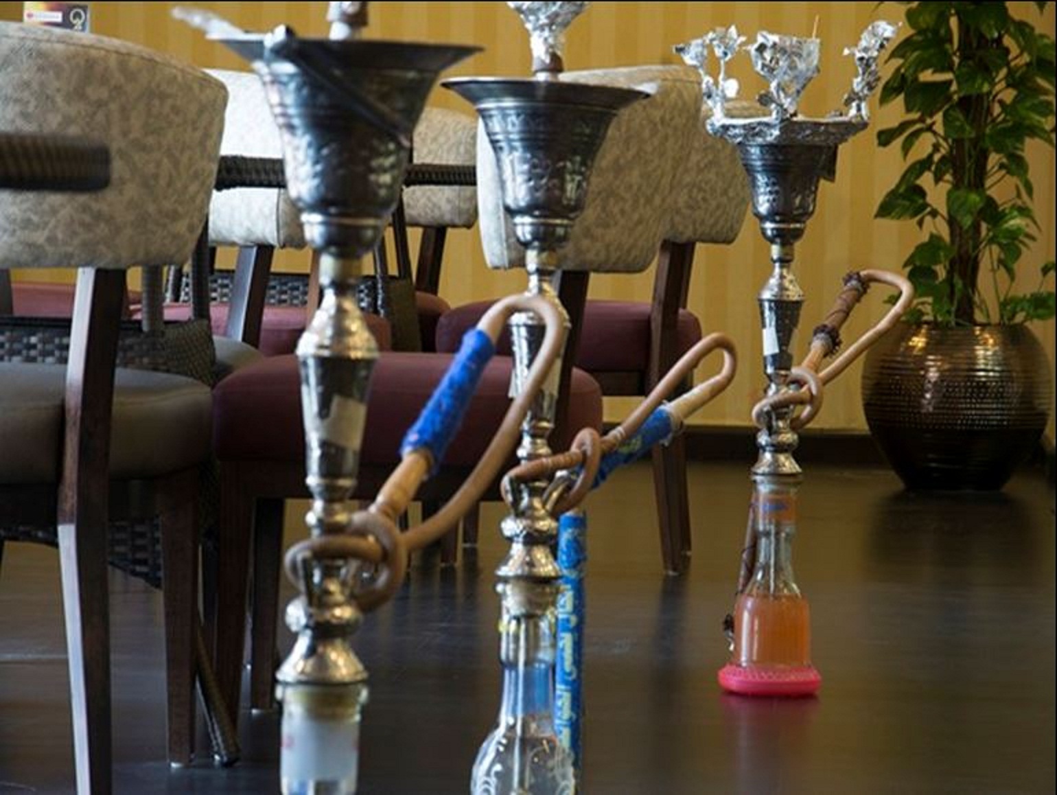 ZAJAL CAFE ONE TO ONE 