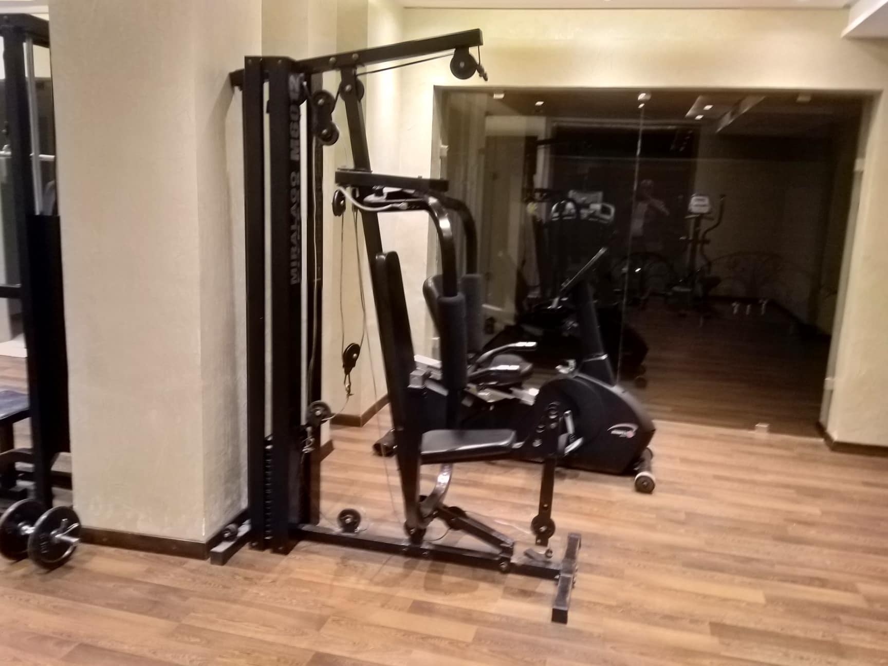 Sport