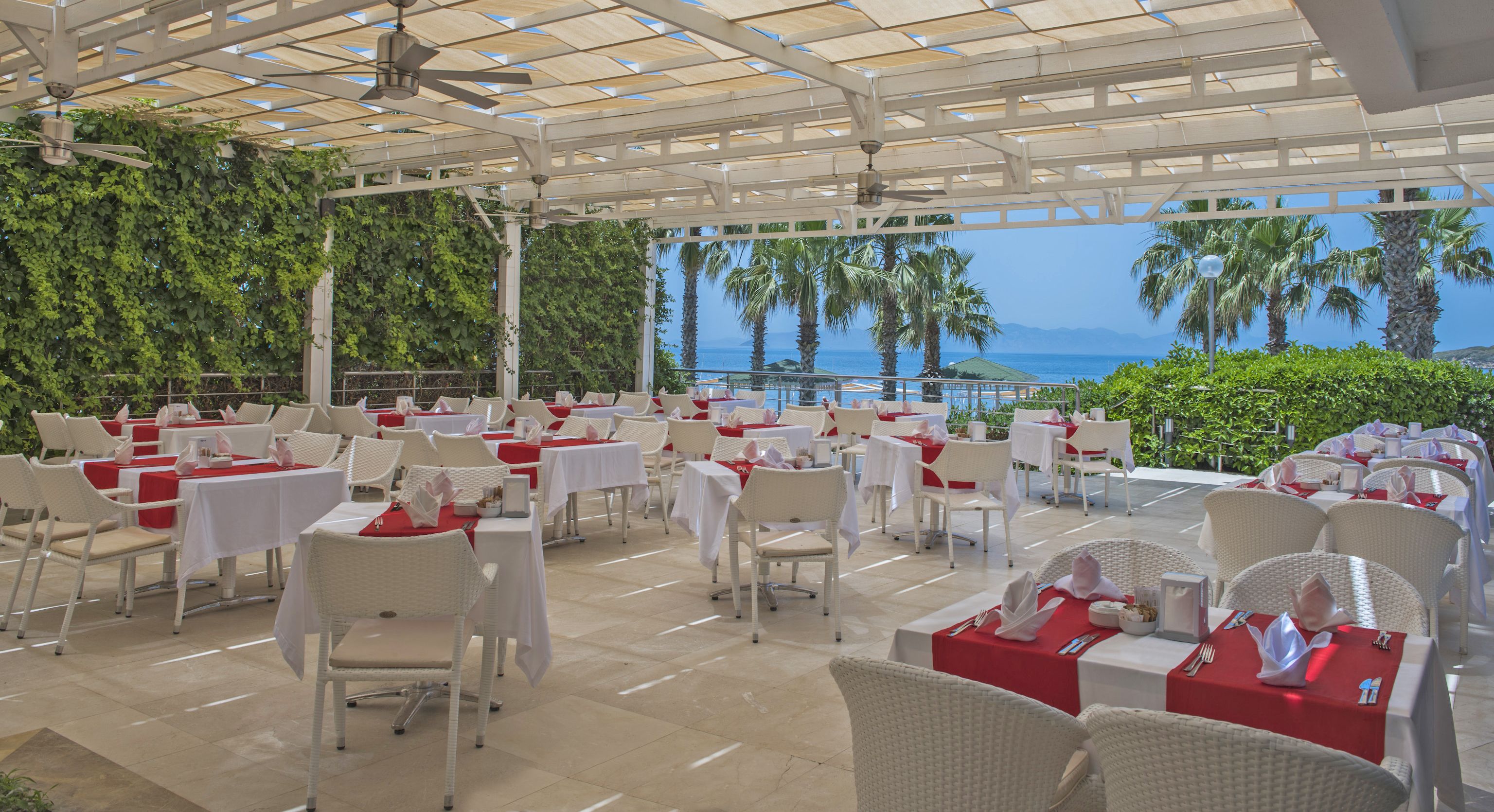 Zepyranthes Ana Restaurant