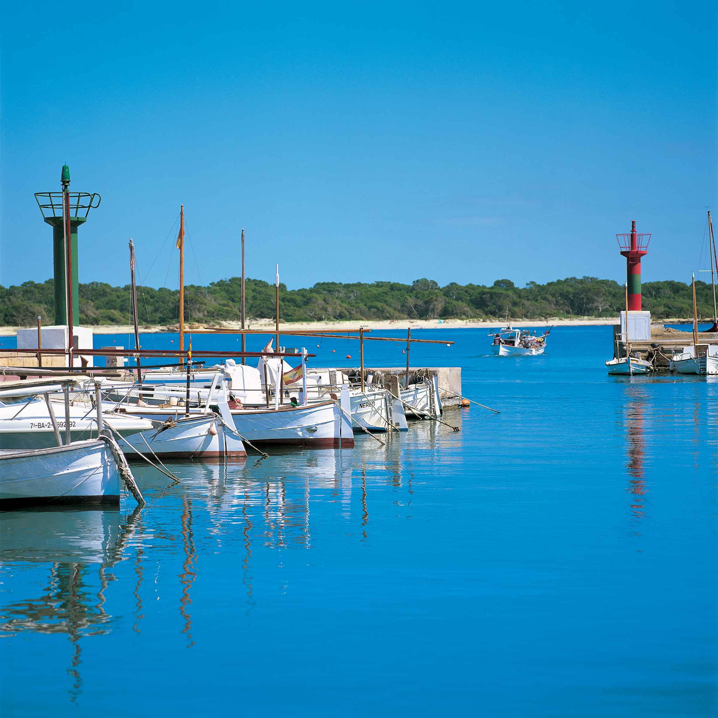 Plajă 