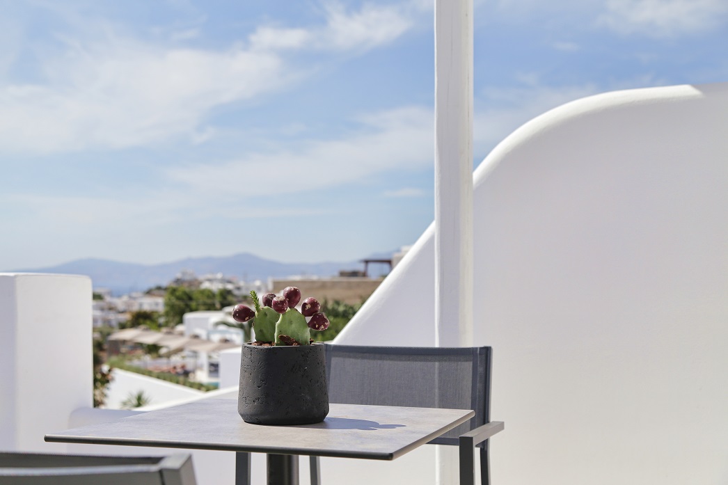 Deluxe Suite Sea View