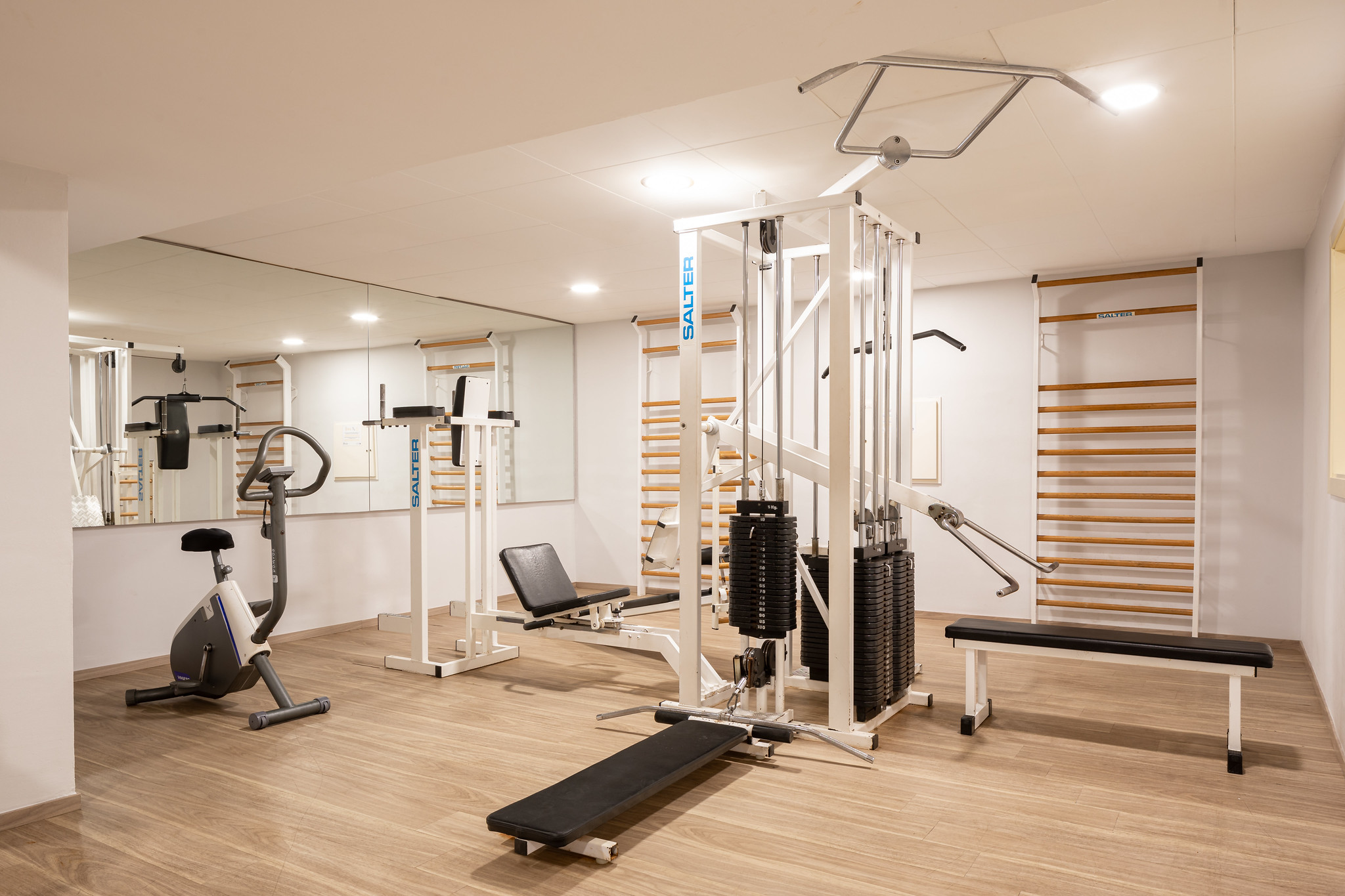 Sport