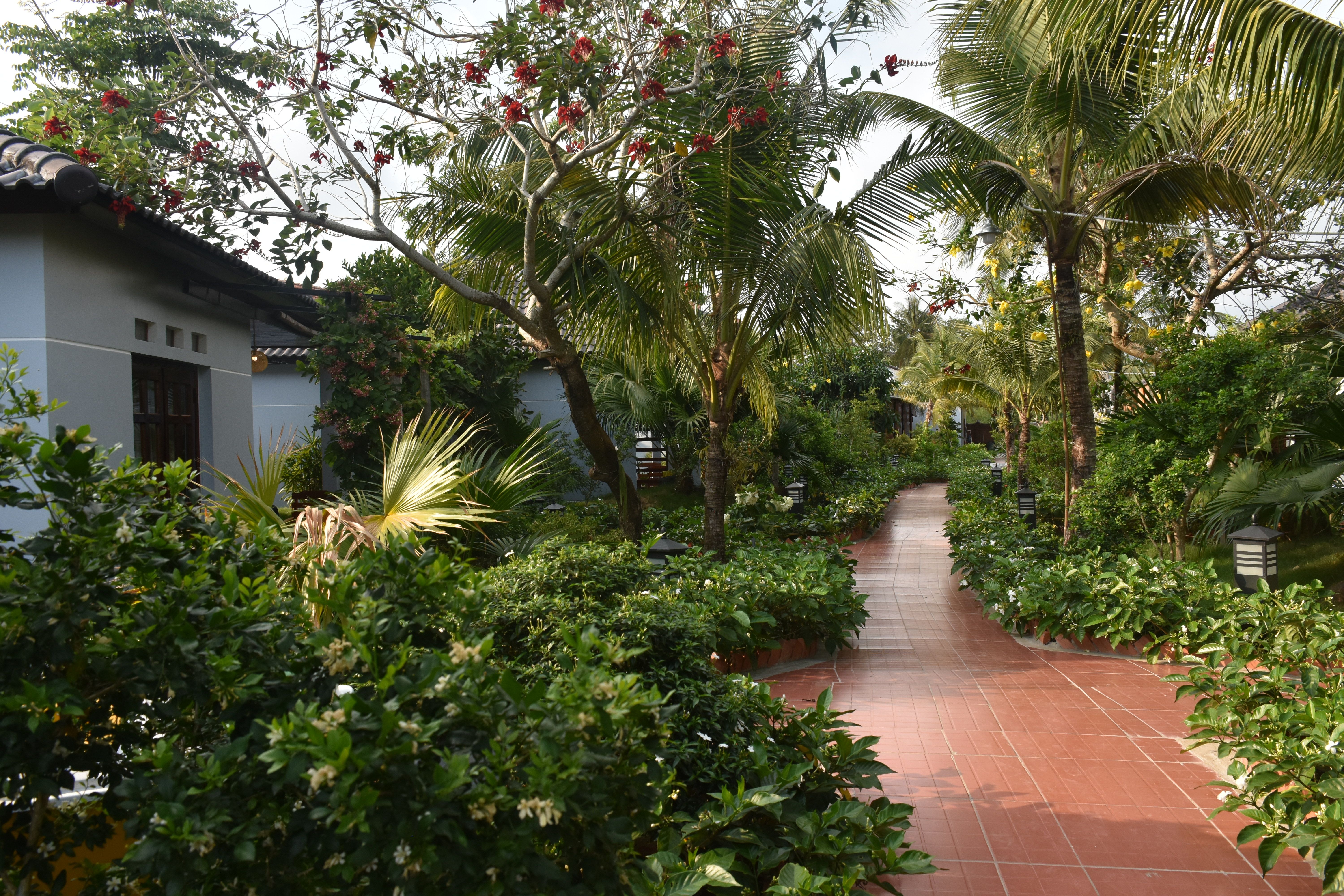 BUNGALOW GARDEN VIEW 