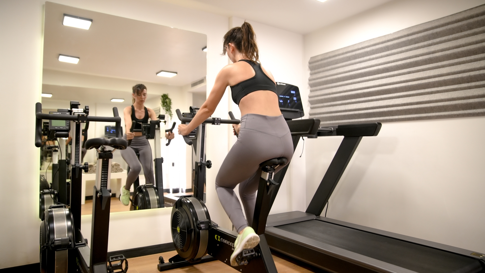 Sport