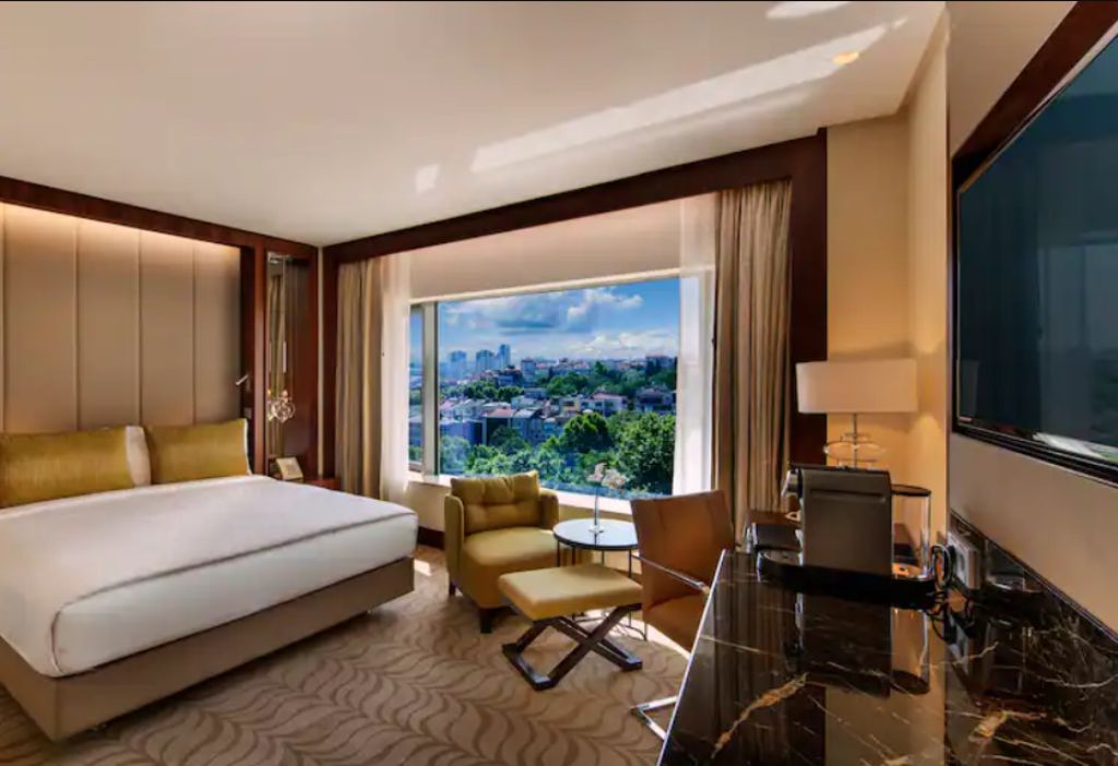 DELUXE PARK ROOM 