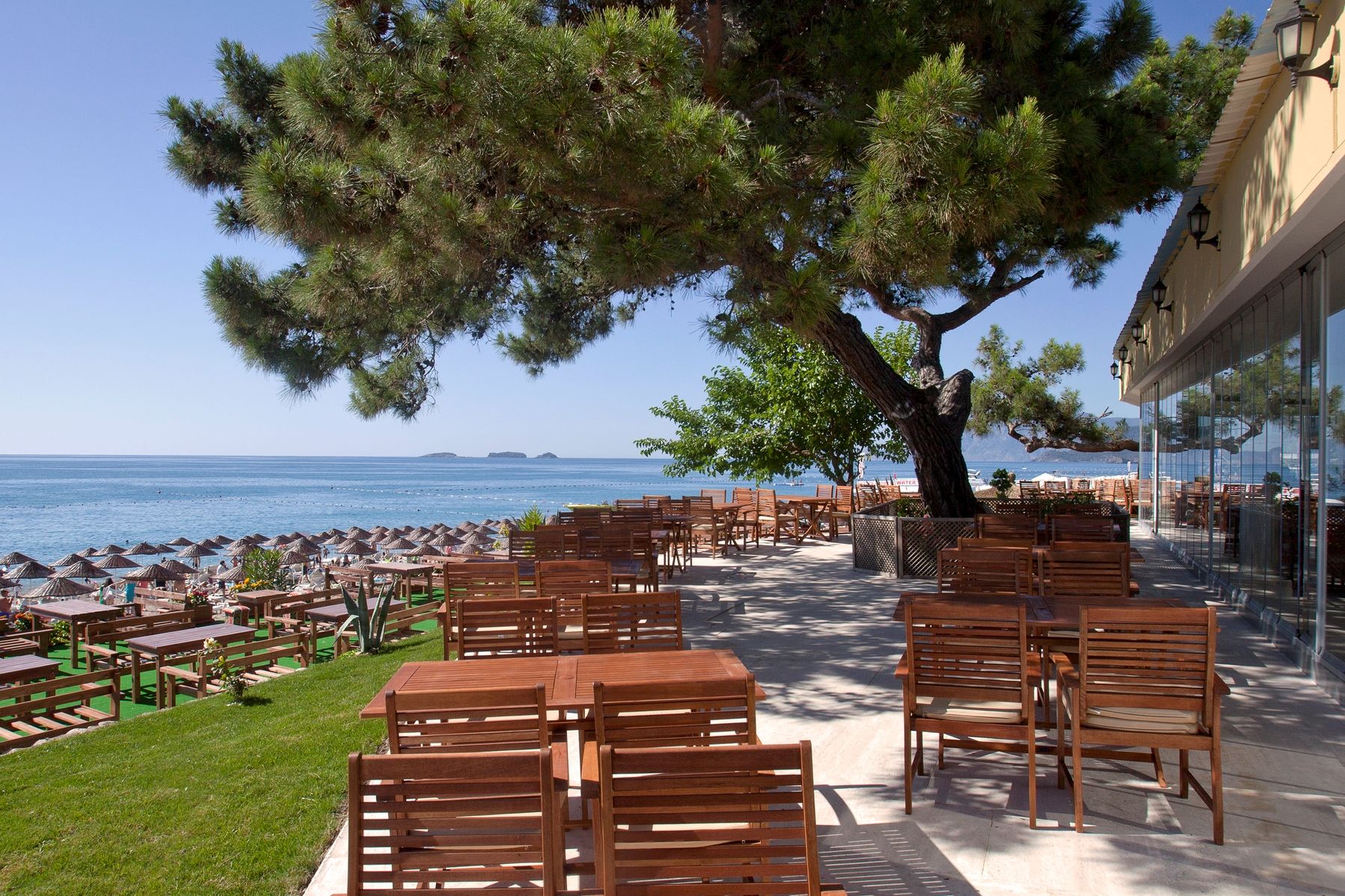 MAIN RESTAURANT