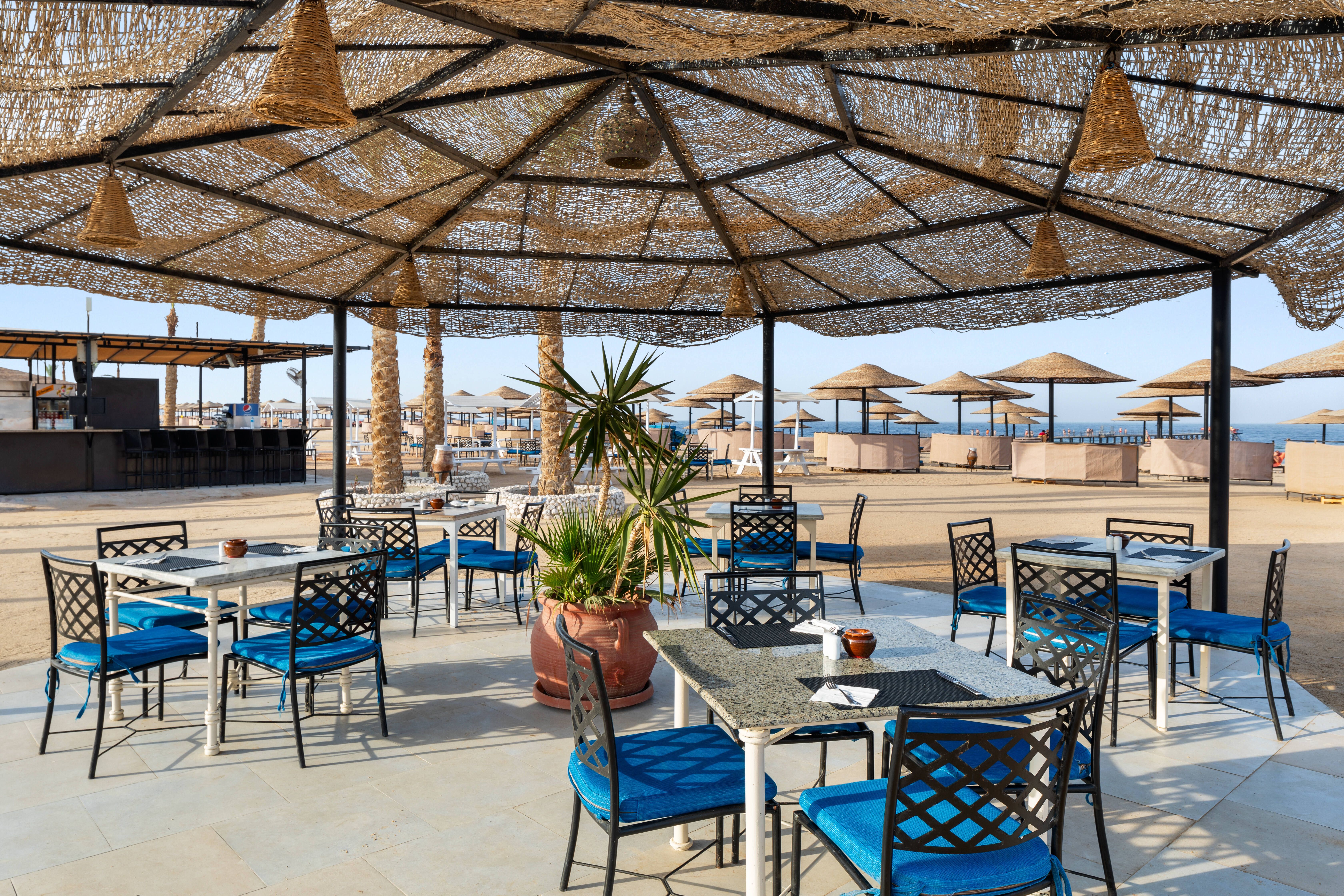 Palm Bar