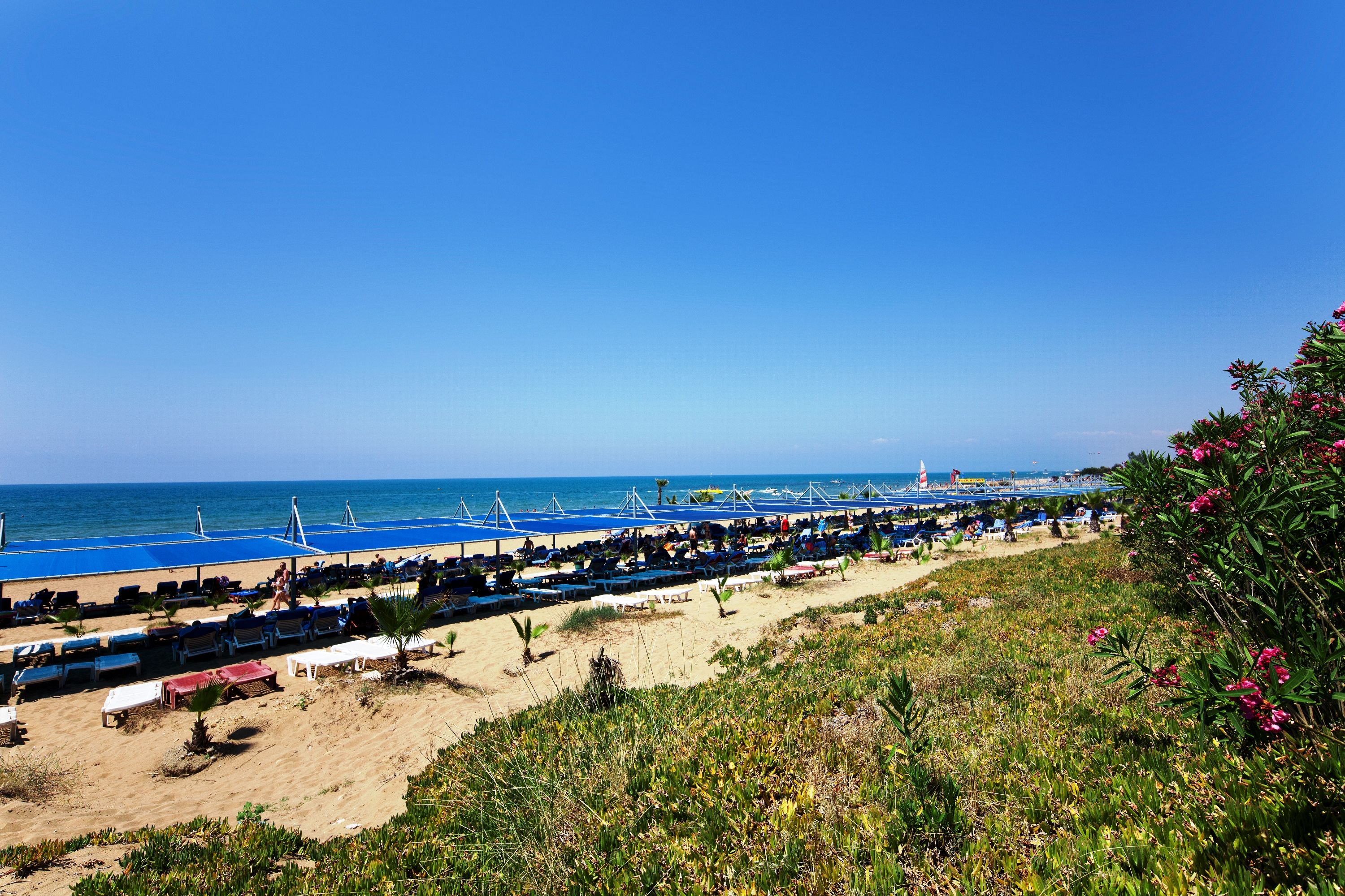 Plajă 