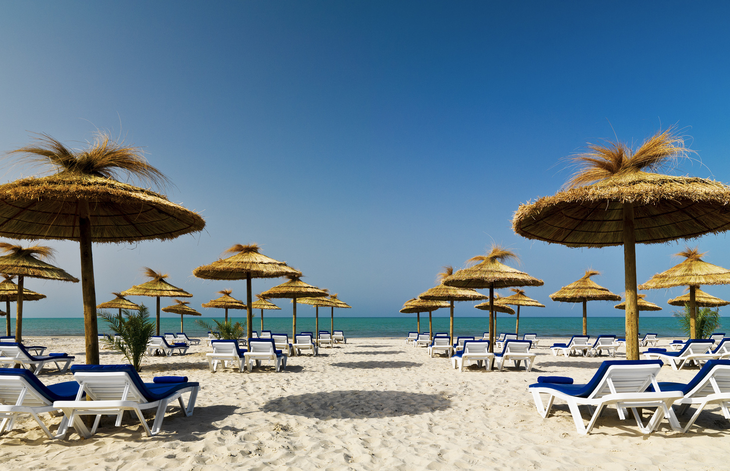 Plajă 
