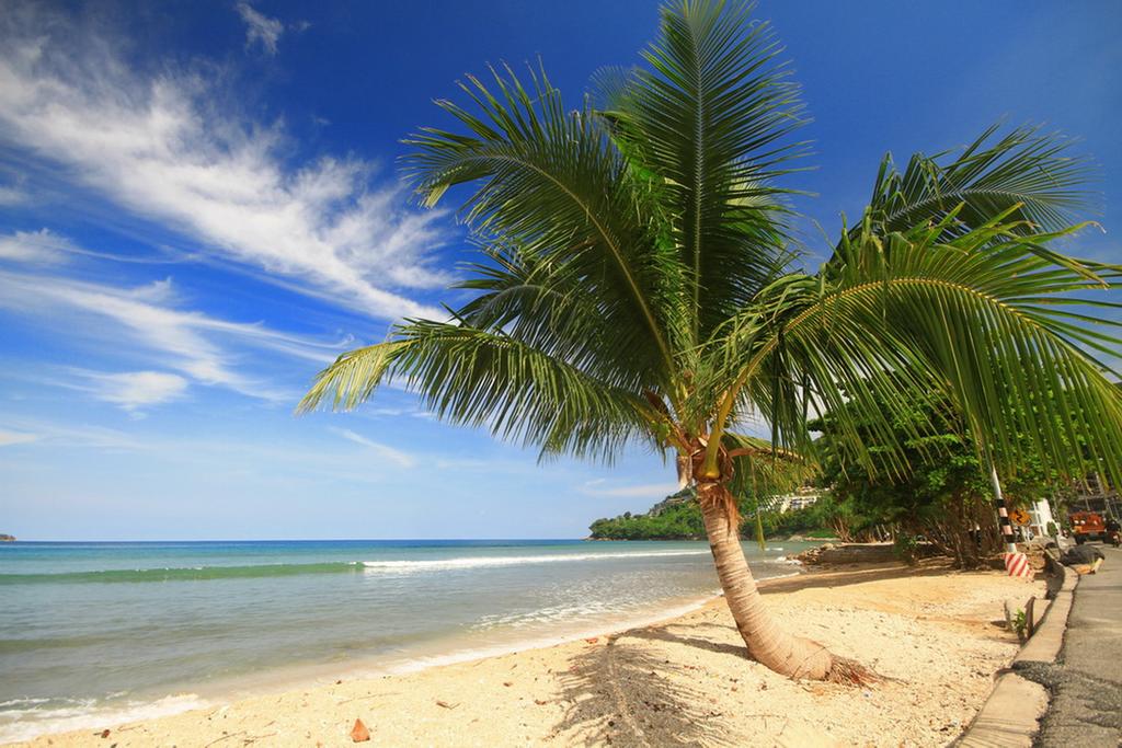 Plajă 