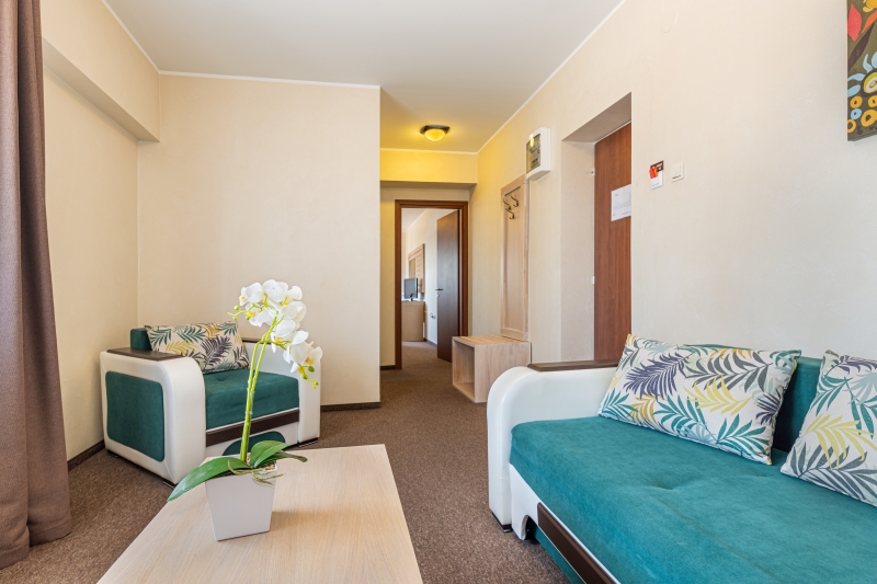 Superior Suite Danube view