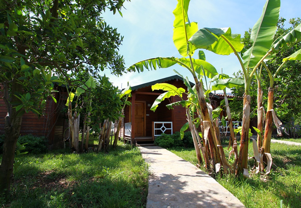 Bungalow
