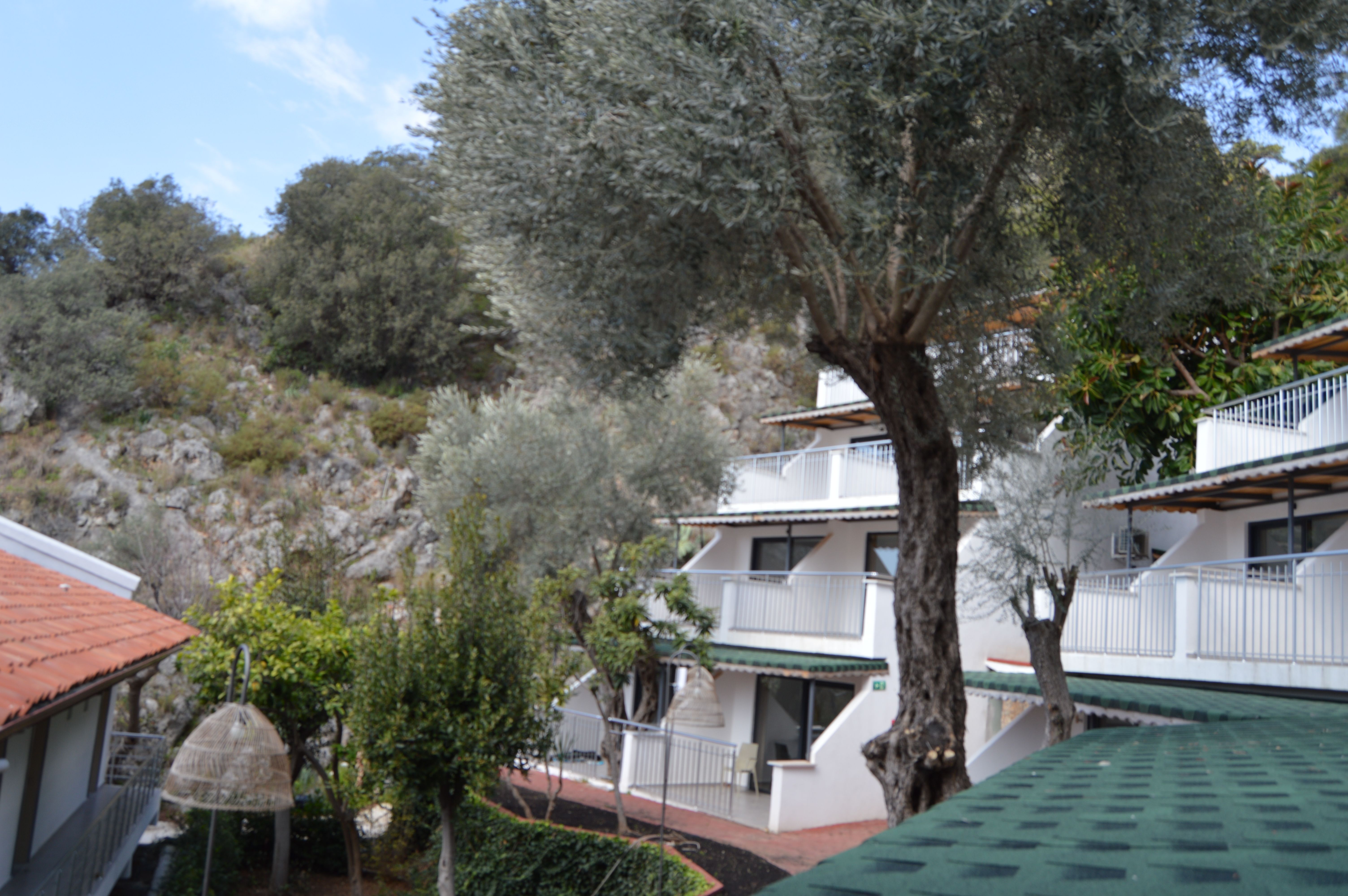 CLUB ROOM LAND VIEW