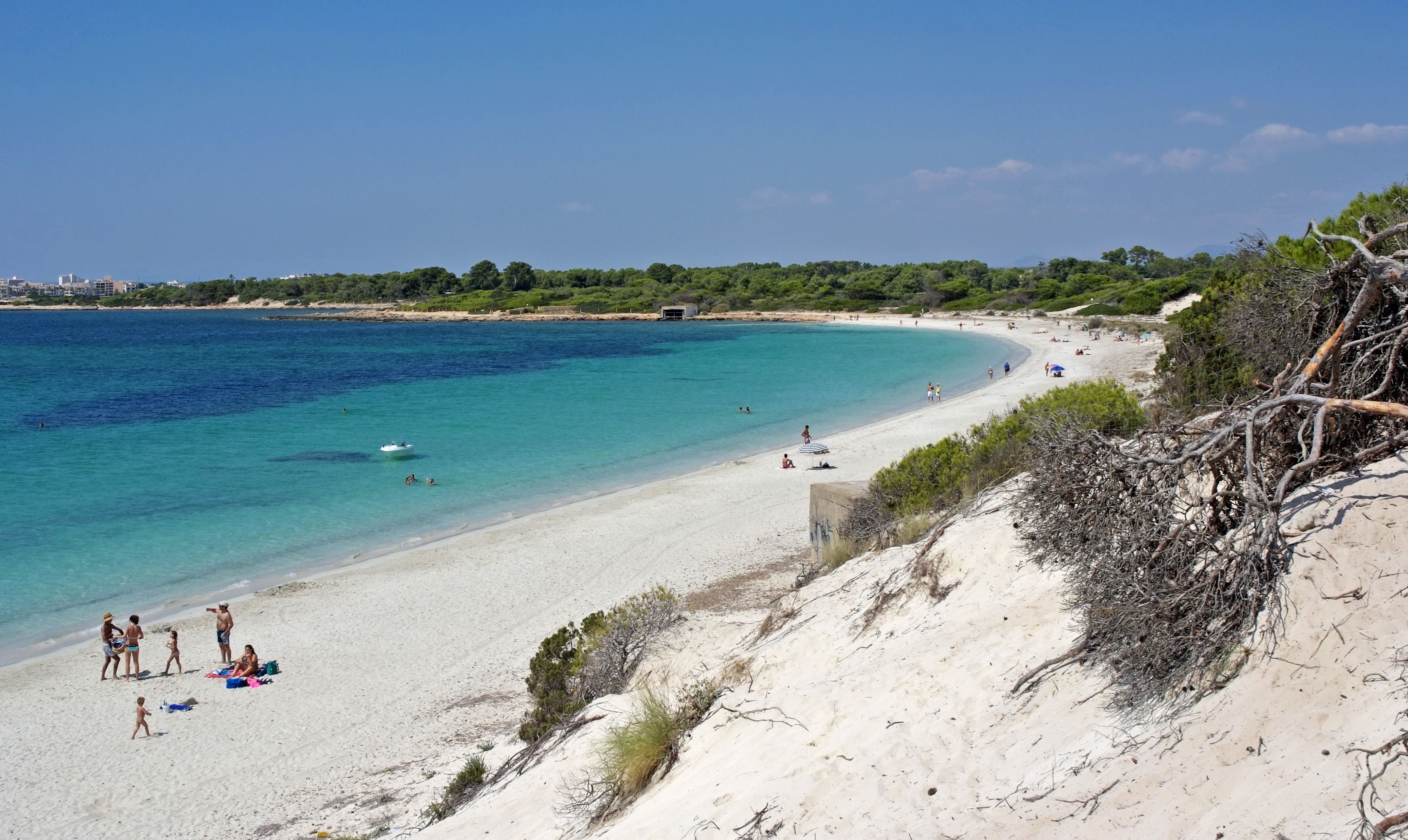 Plajă 