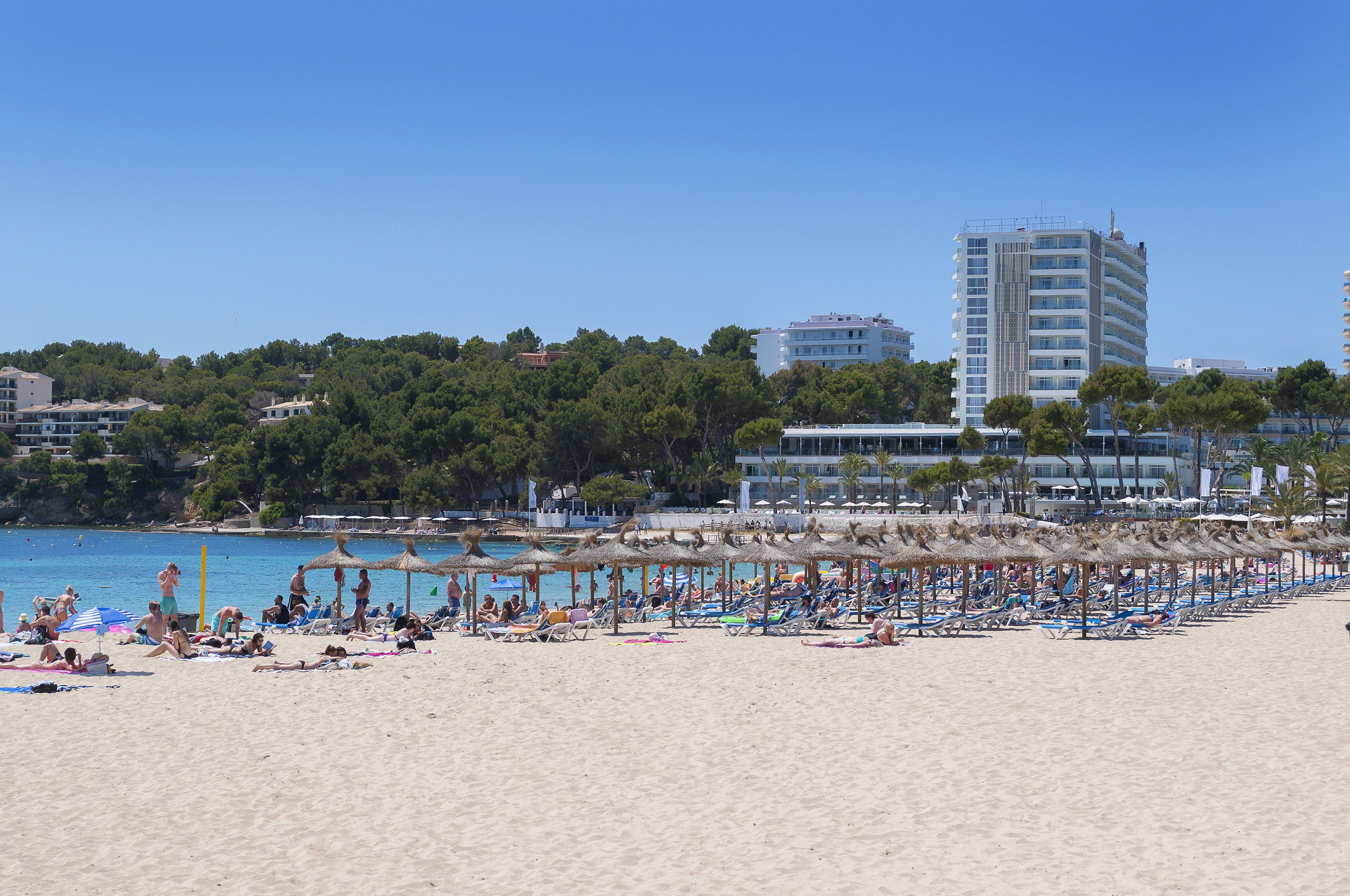 Plajă 