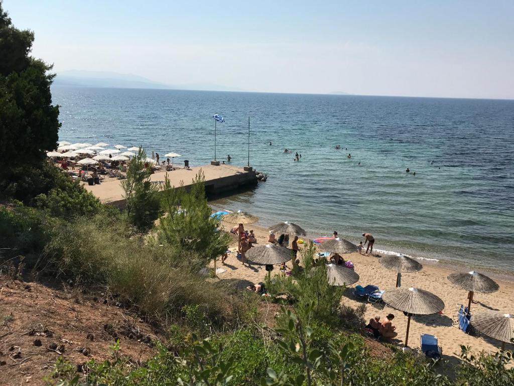 Plajă 