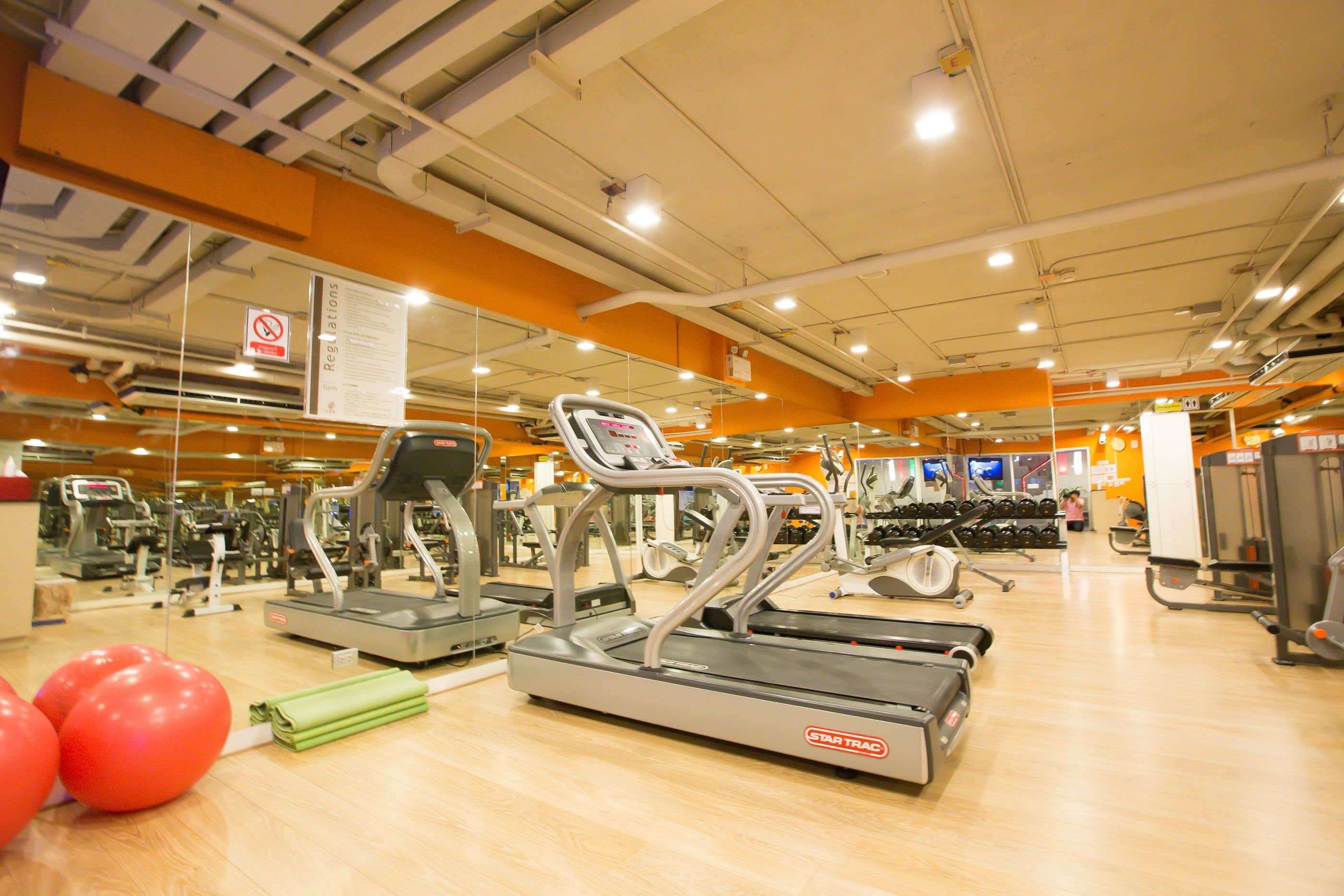 Sport