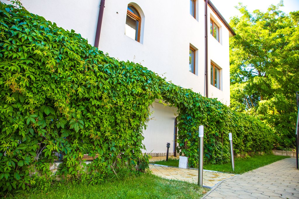 Main Building