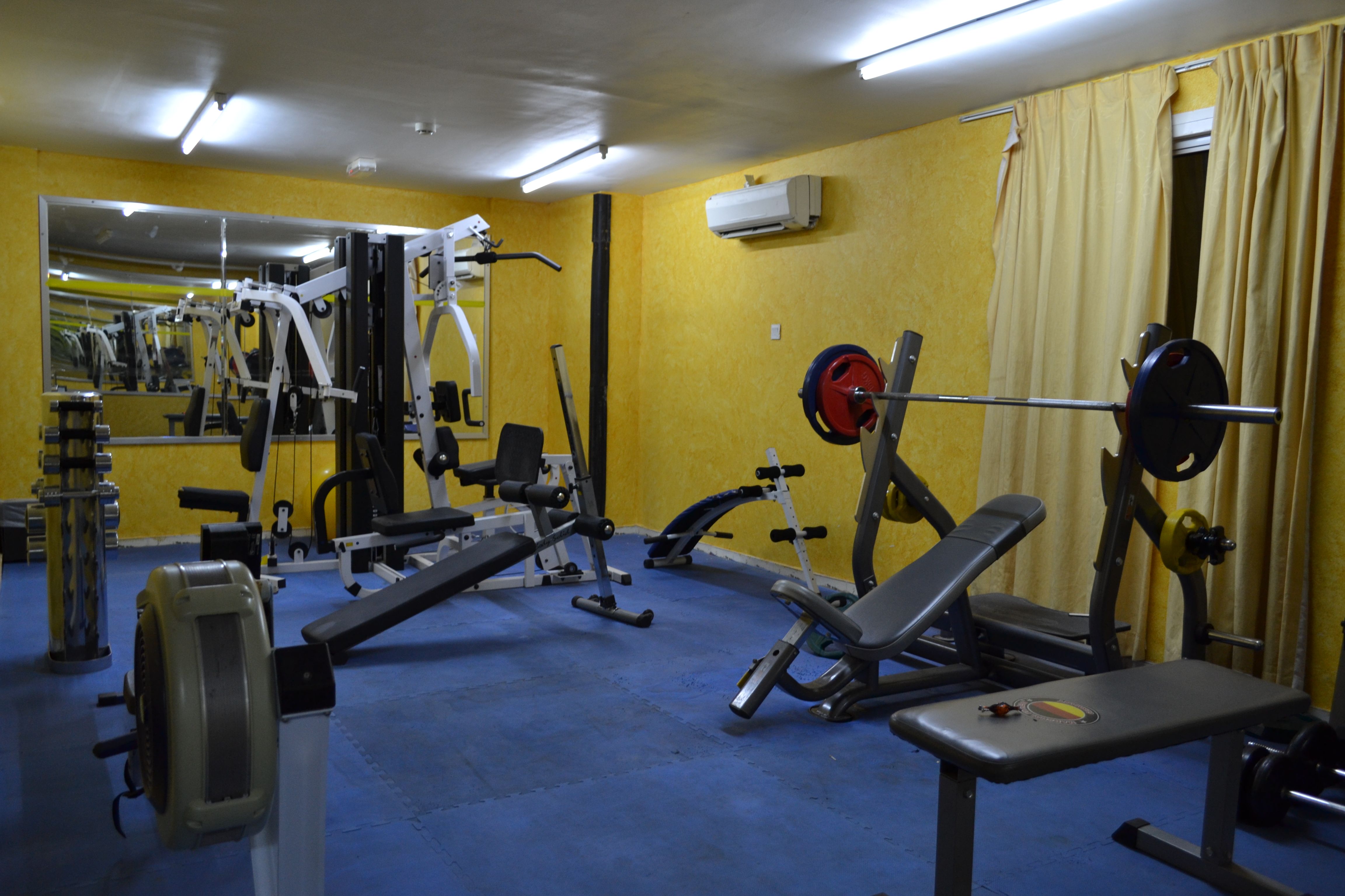 Sport