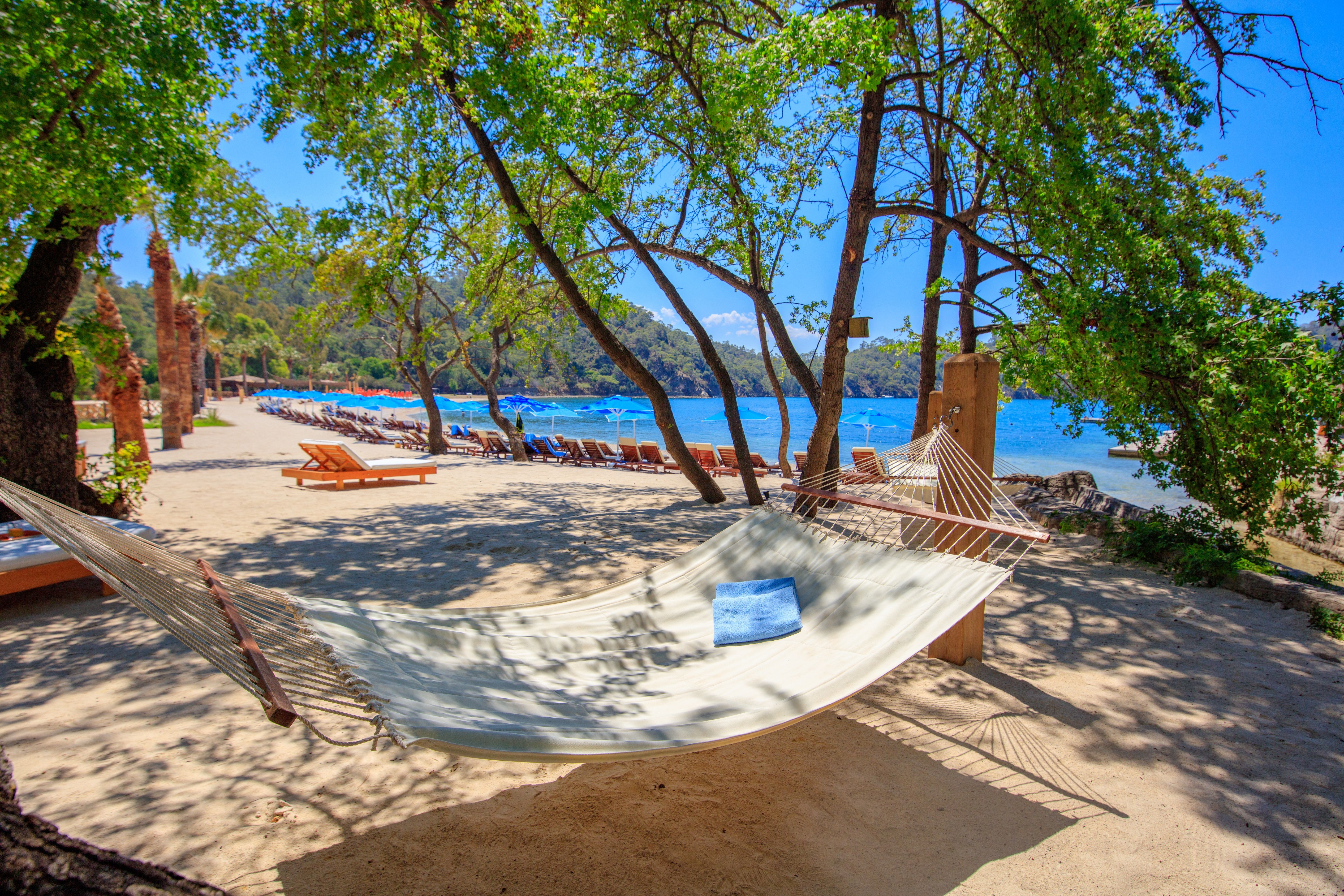 Plajă 
