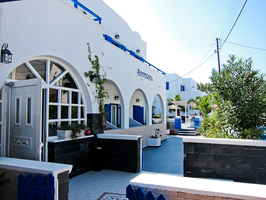 anemones outside  001.jpg