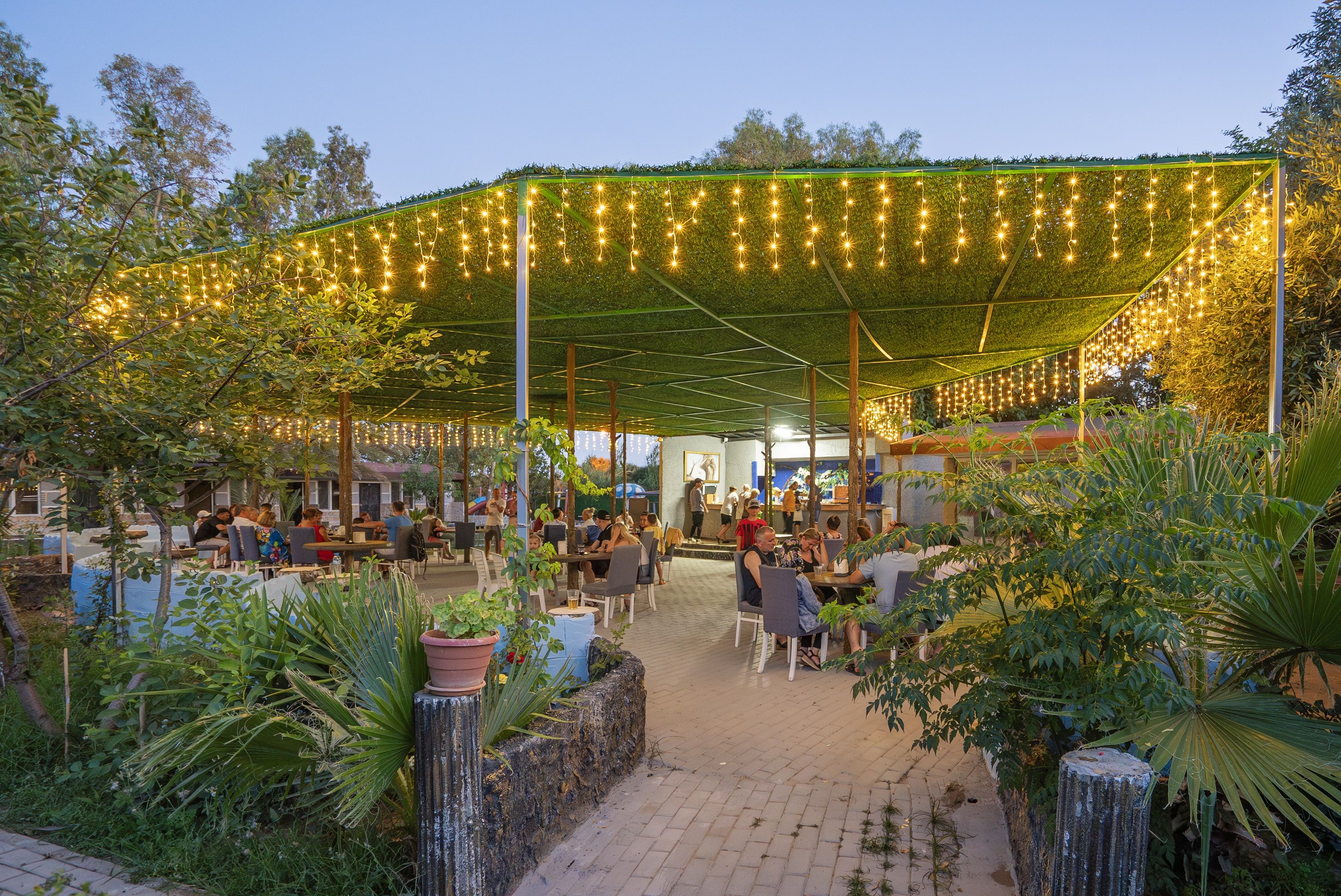 Beach Bar