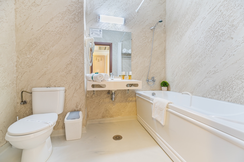 Superior Suite Danube view