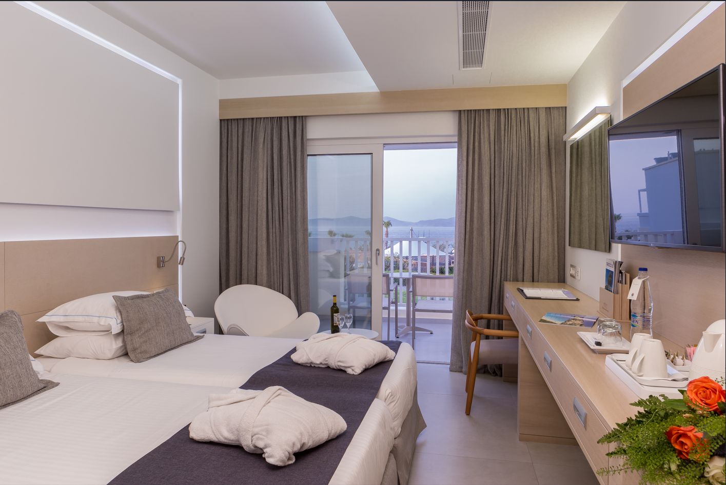 Deluxe Twin Sea View Room With Balcony or Terrace 