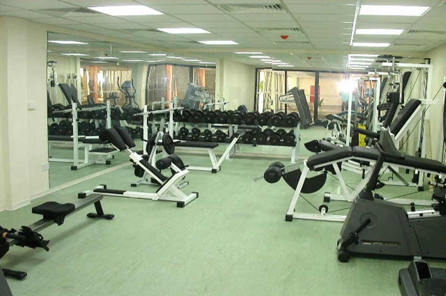 Sport