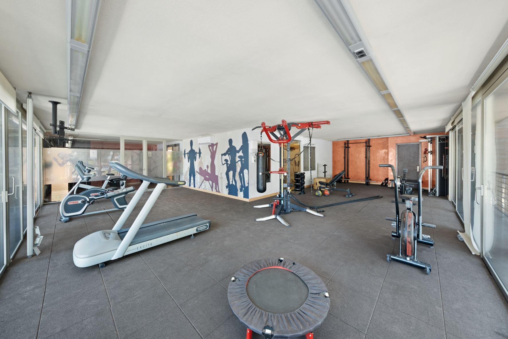 Sport