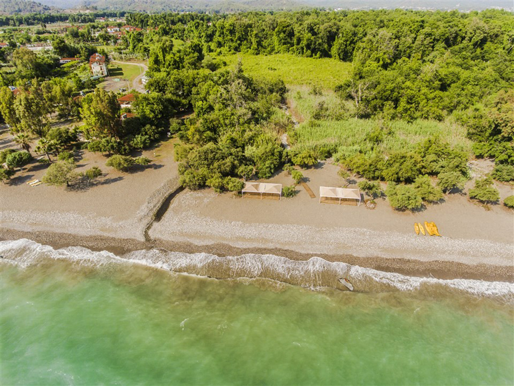 Plajă 