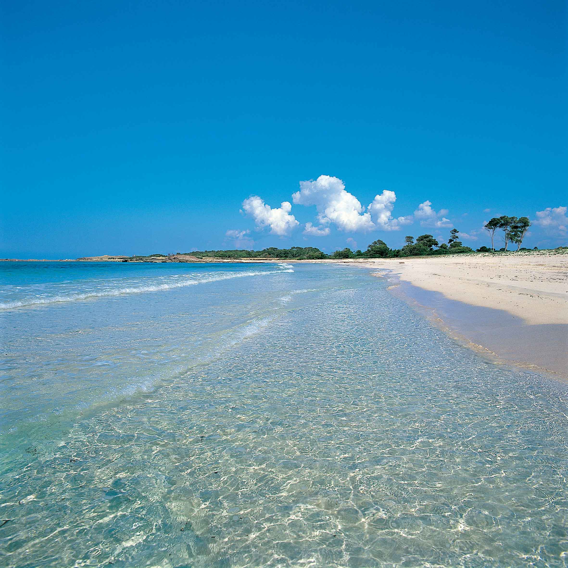 Plajă 
