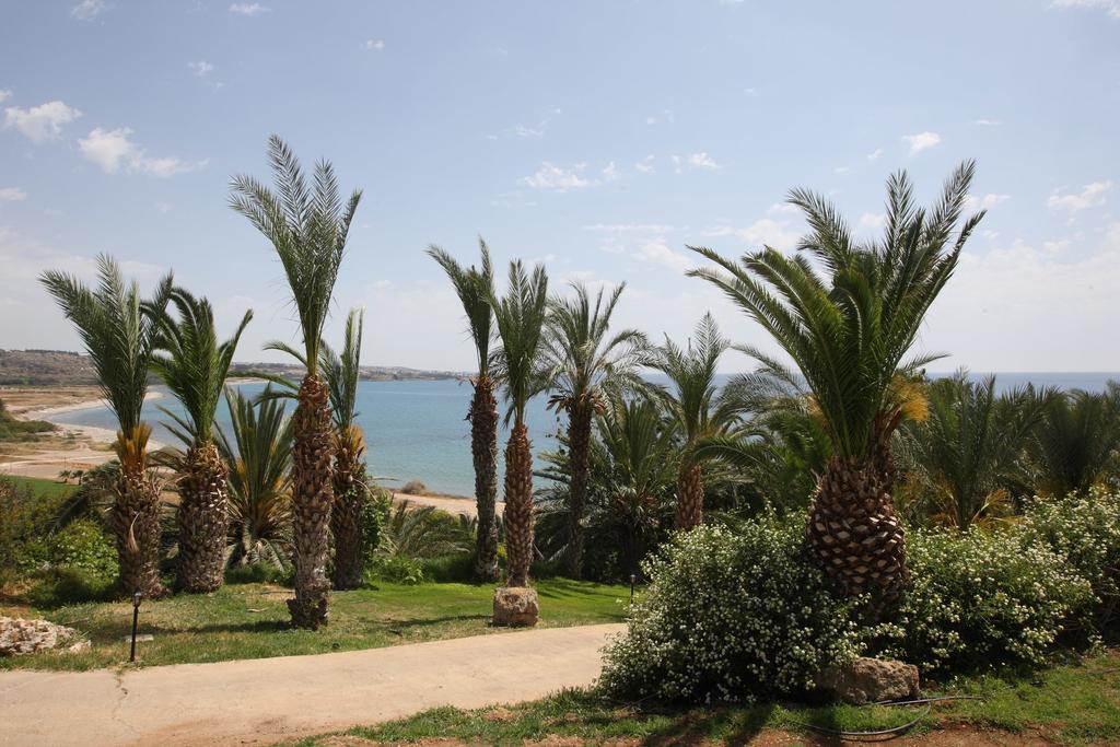 Plajă 
