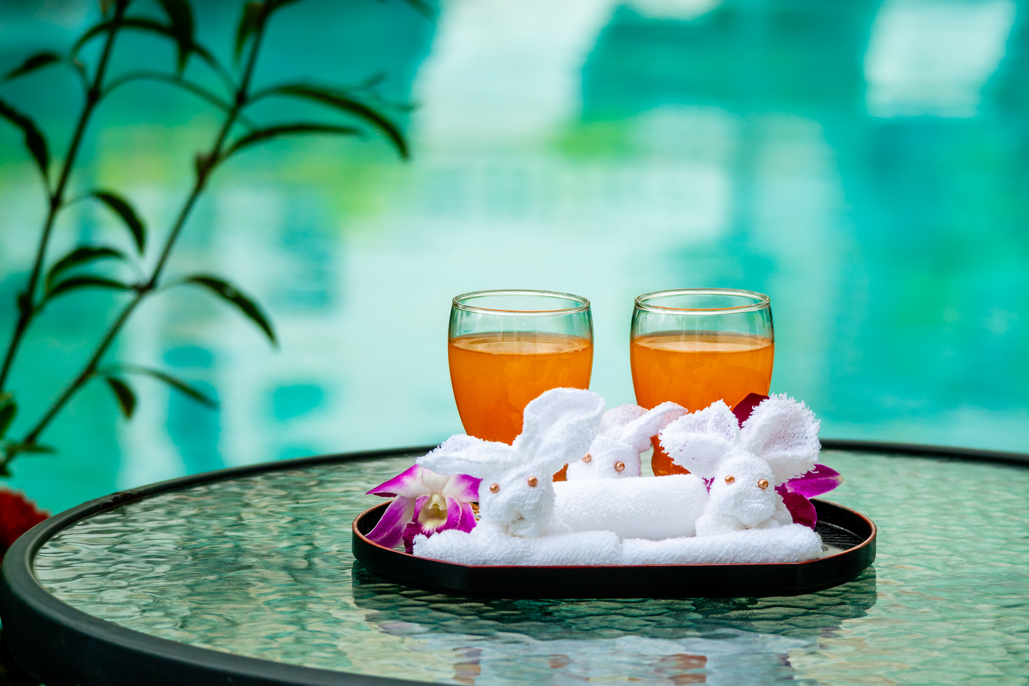 Piscina deschisă