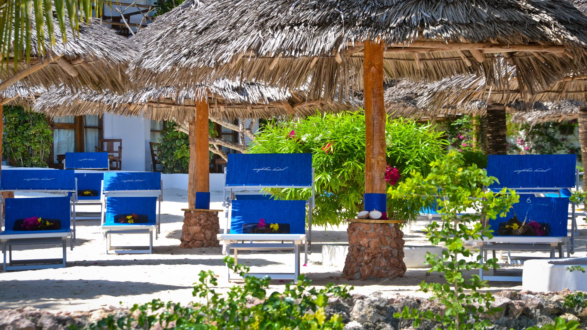 Plajă 