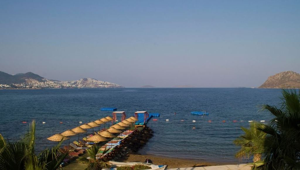 Plajă 