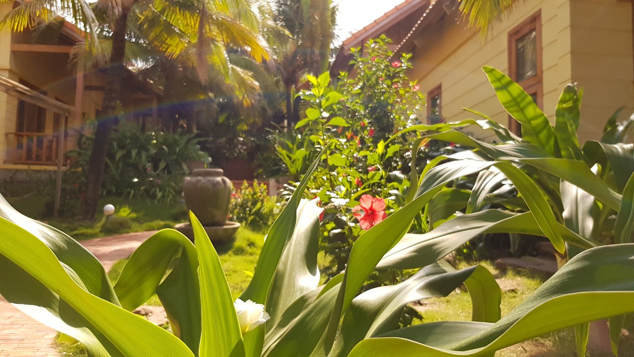  BUNGALOW FAMILY ROH GARDEN VIEW WITH BALCONY