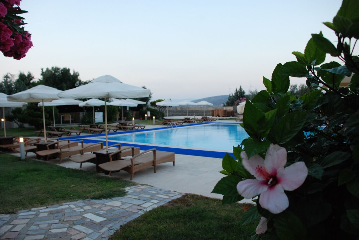 Piscina deschisă