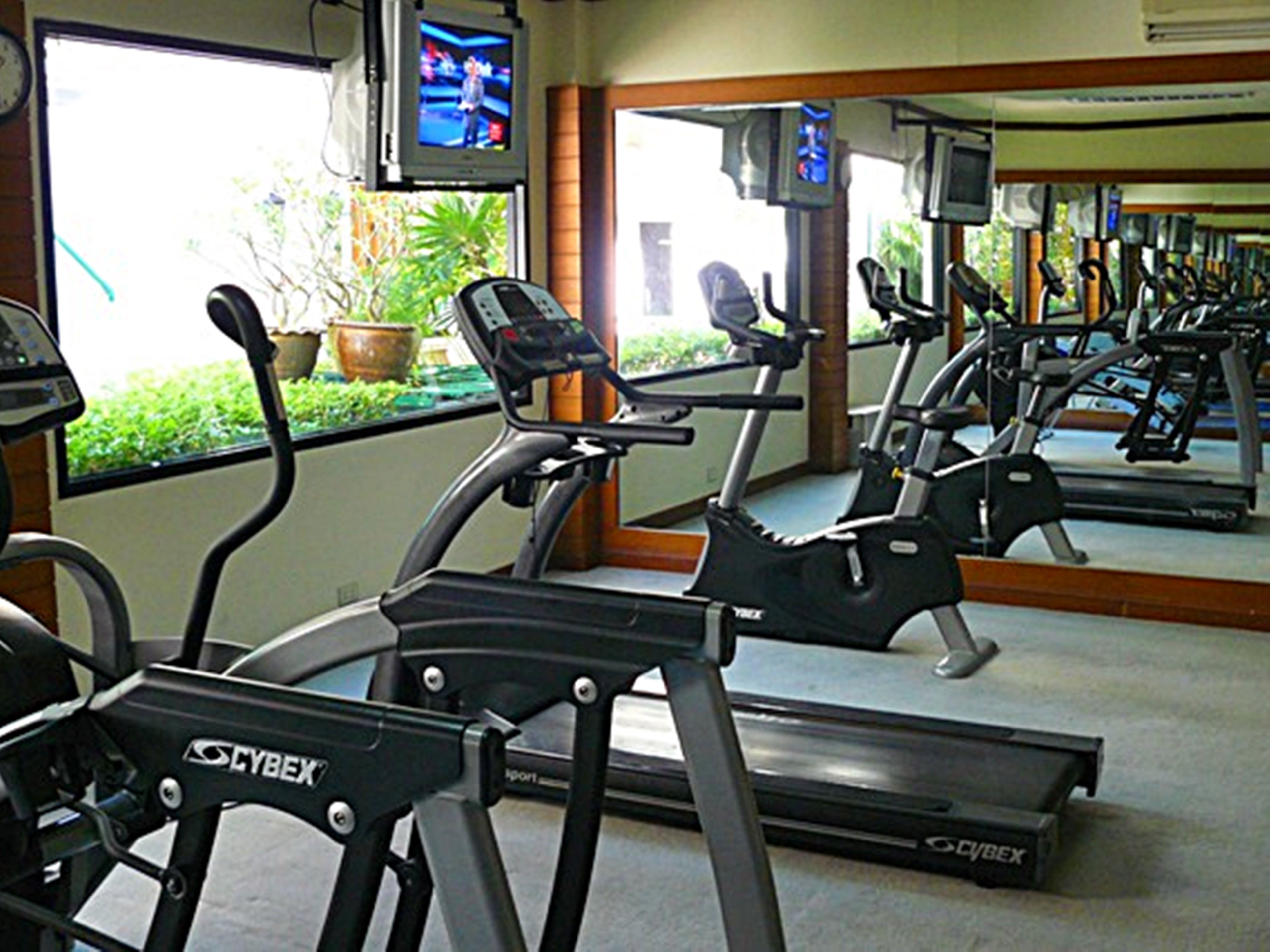 Sport