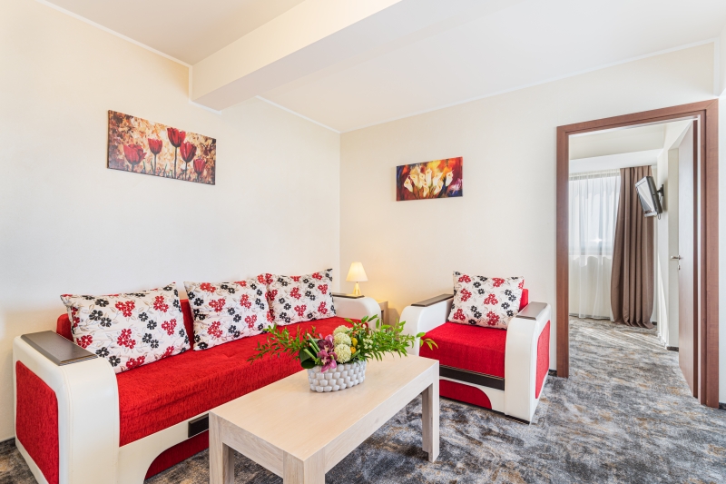 Superior Suite Danube view