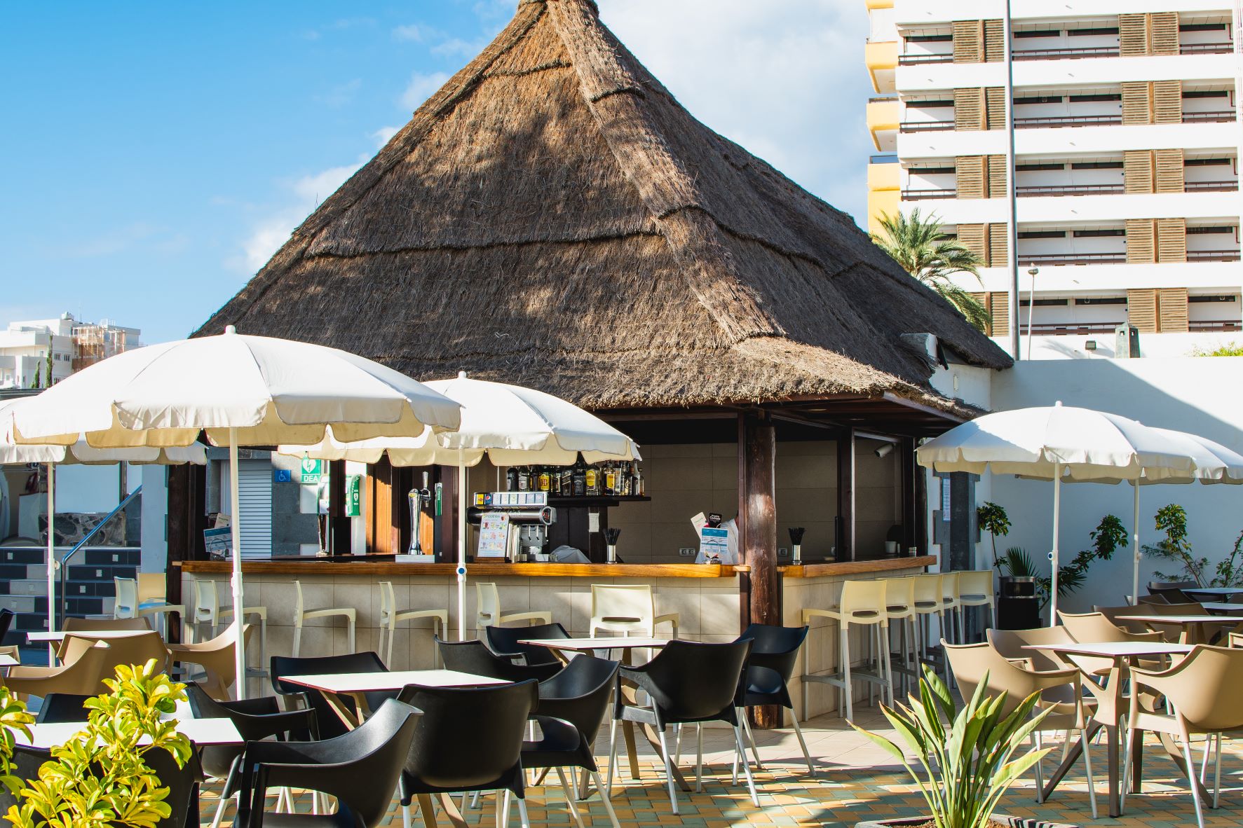 Bar Piscina