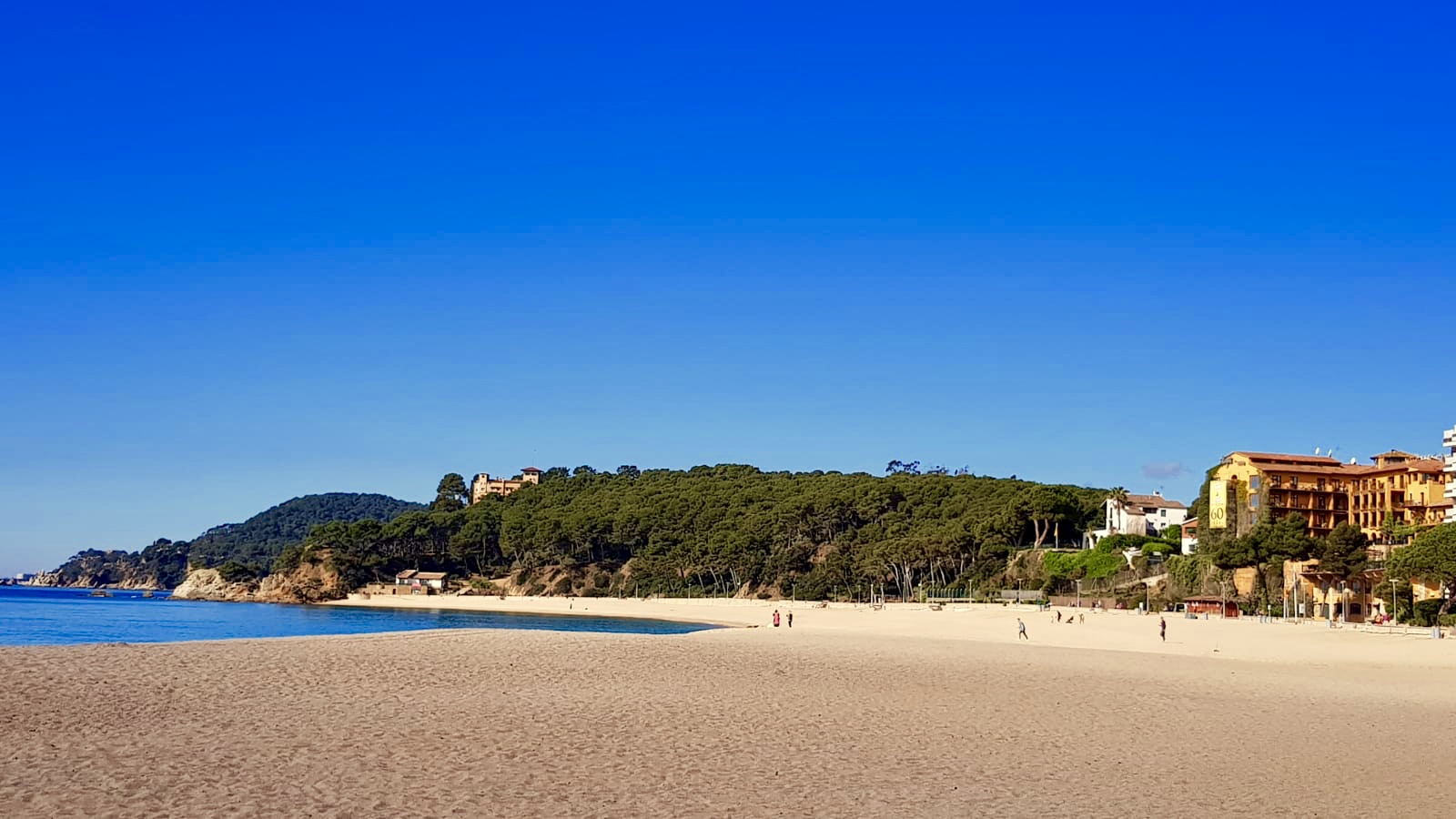 Plajă 
