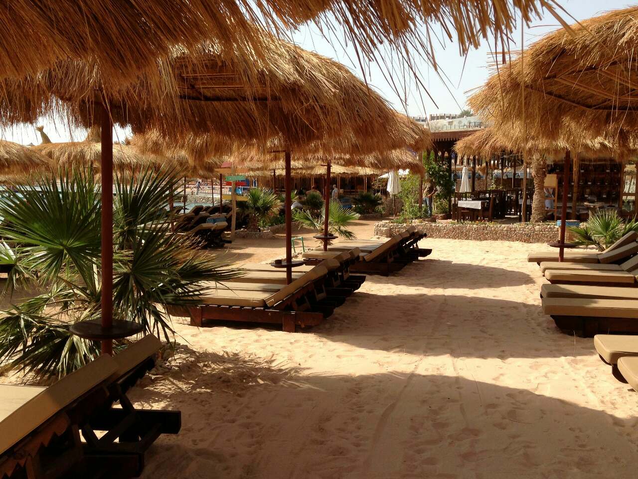 Plajă 