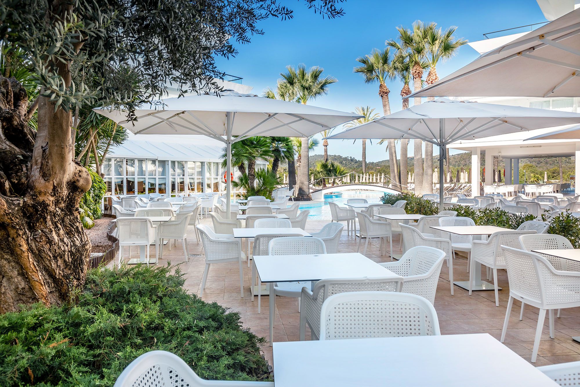 Lounge Bar Babalu