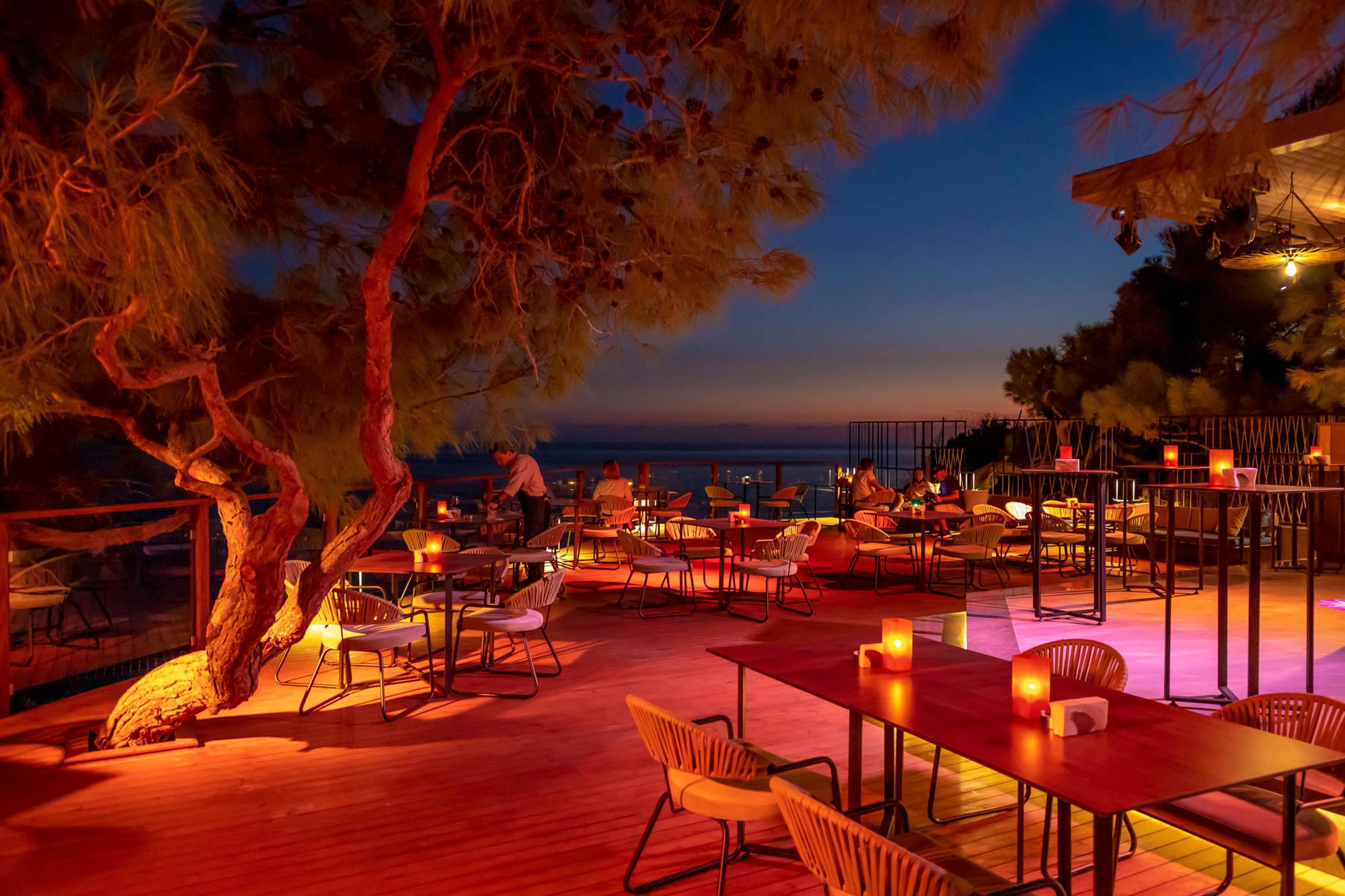 THE VINEYARD LOUNGE