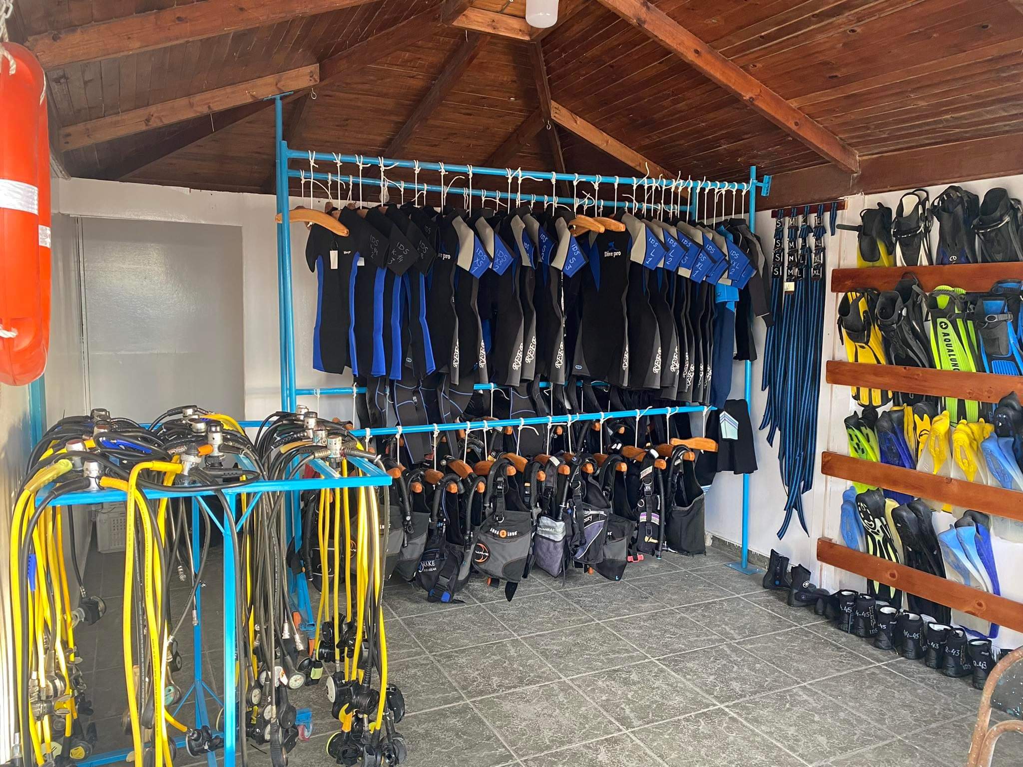 Sport