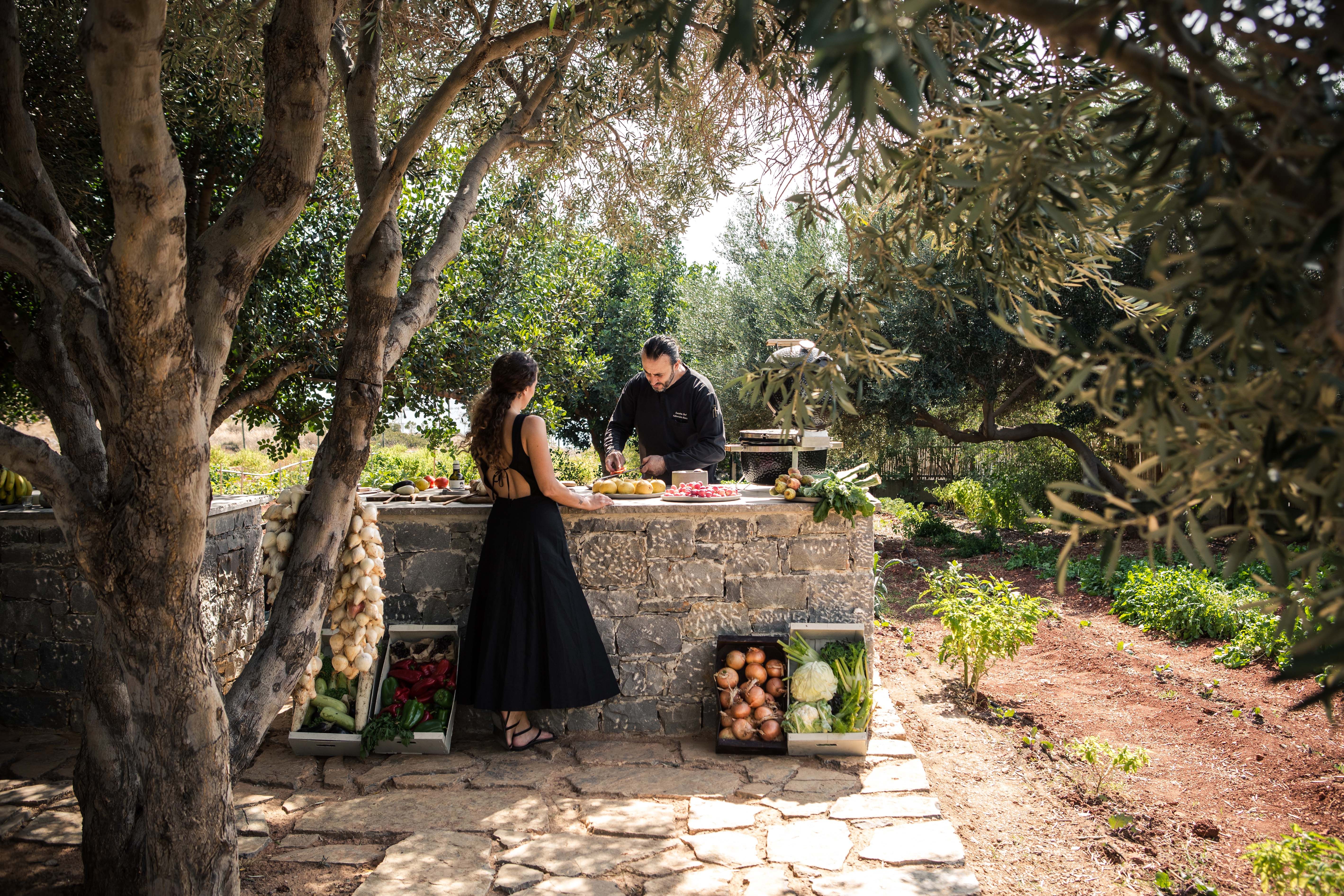 PHAEA FARMERS POP UP
