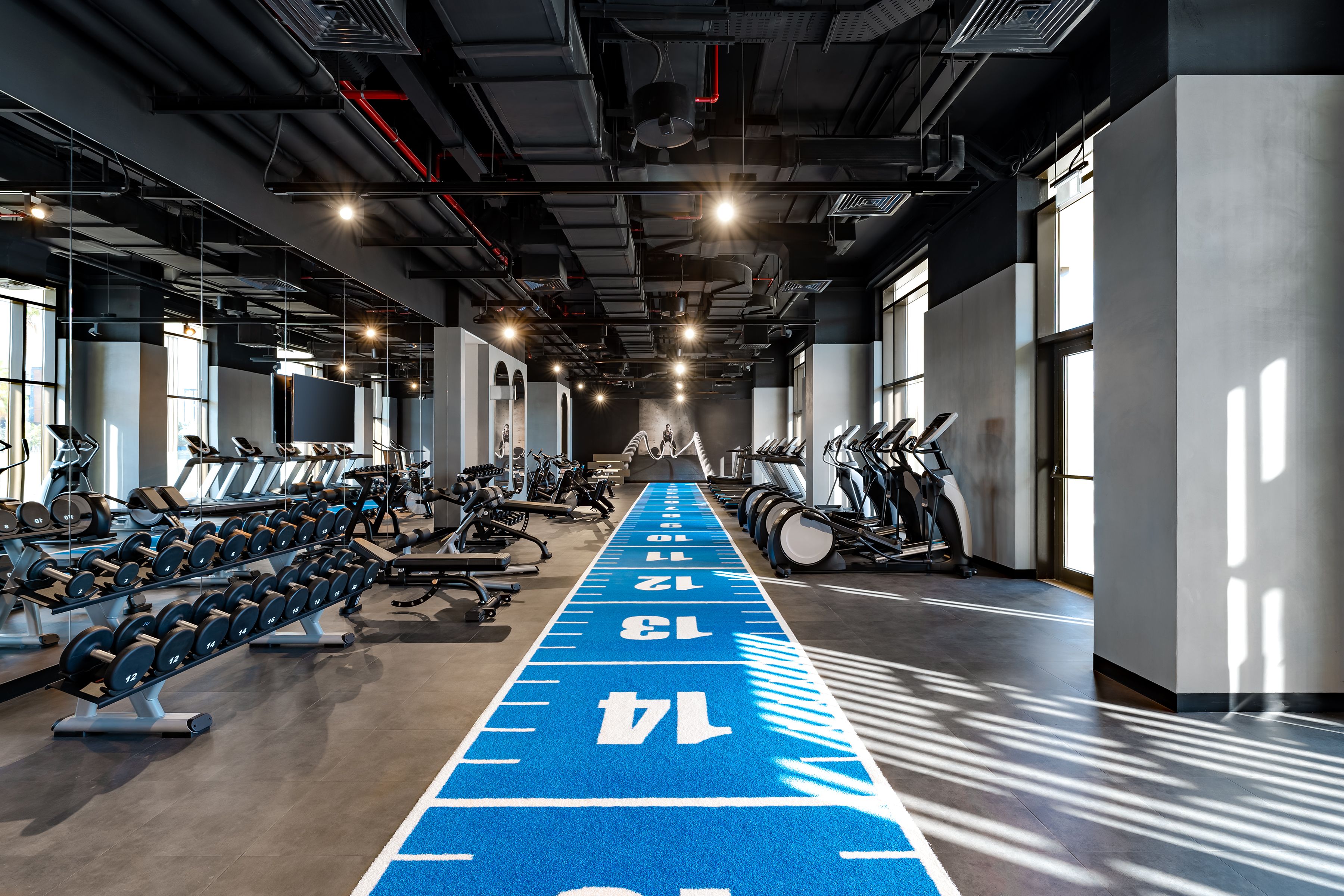 Sport