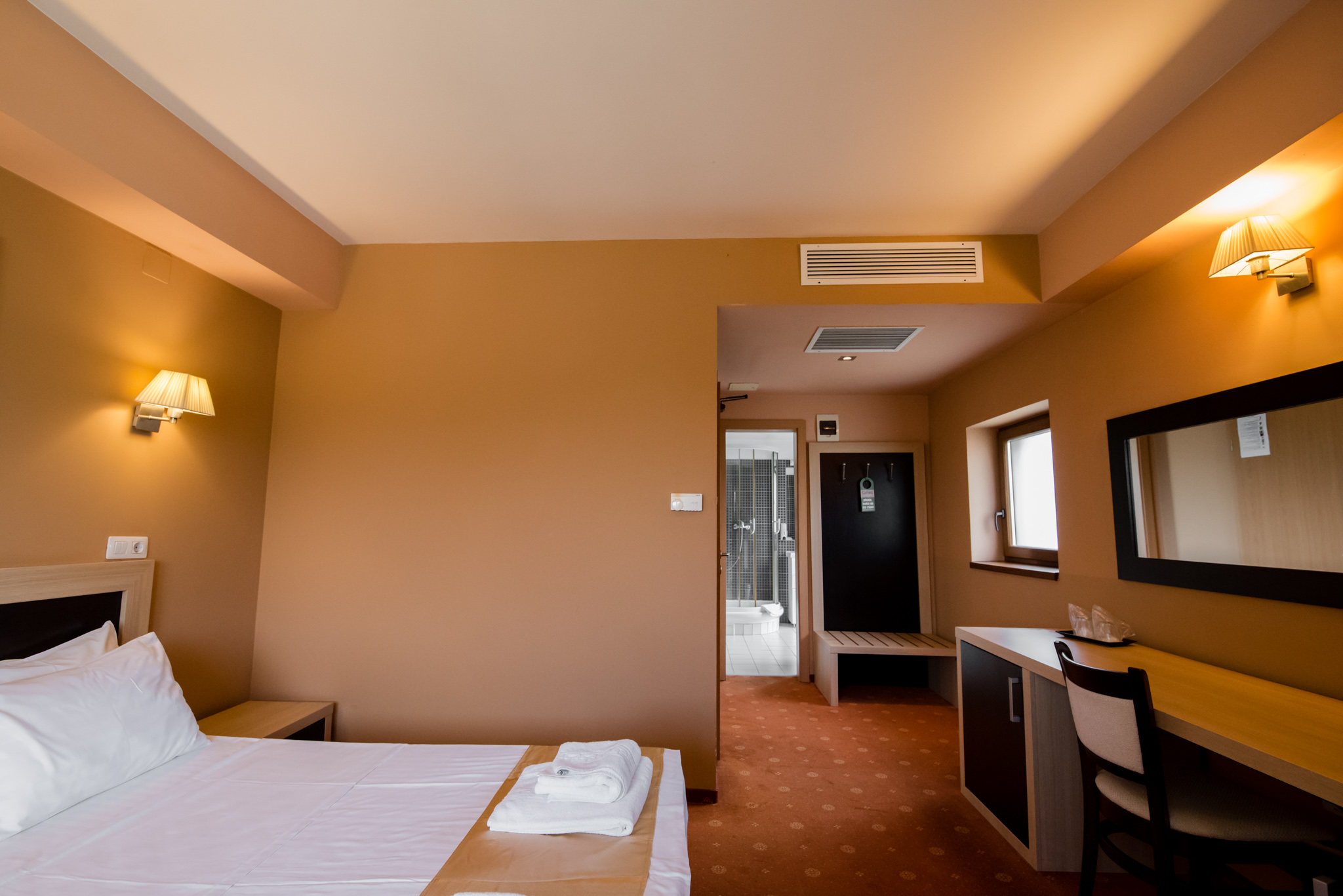 Executive Suite cu terasa