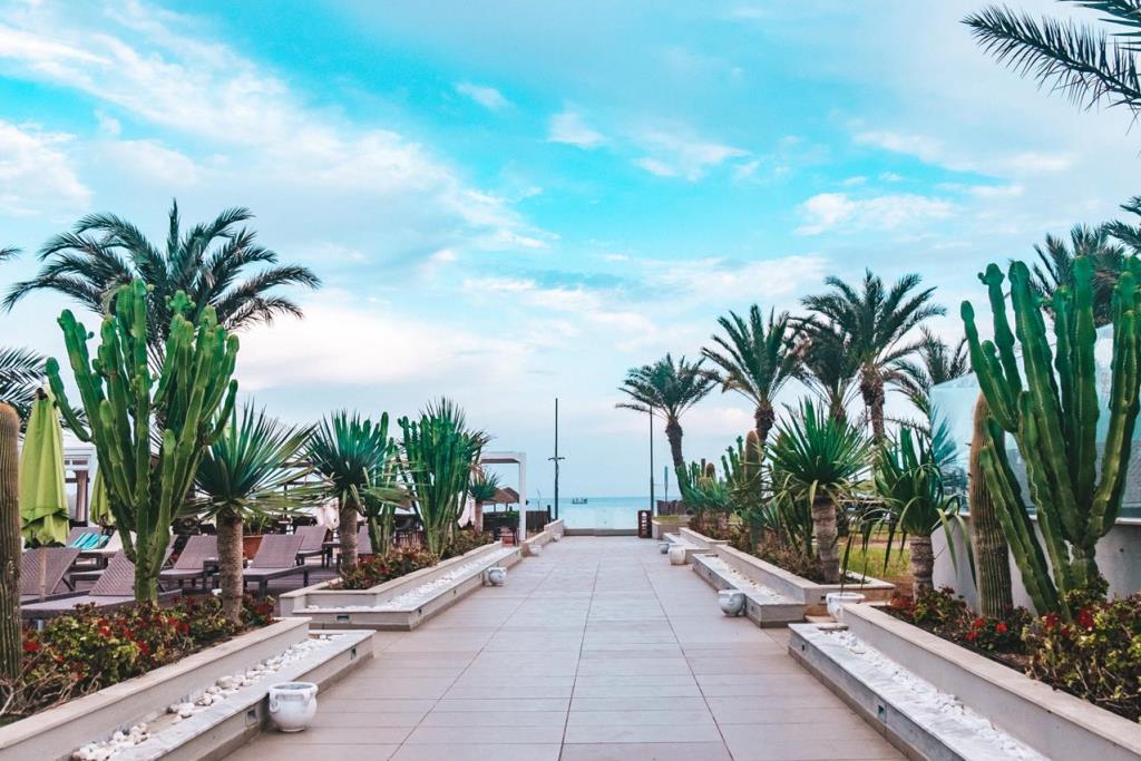 Plajă 
